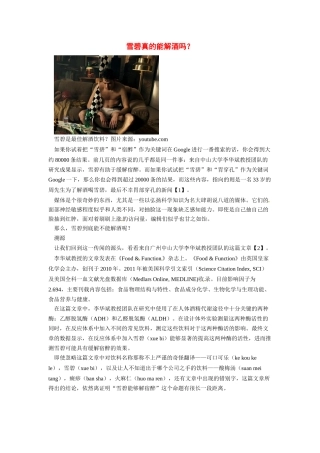 2014年高考化学二轮复习（热门素材+练习）雪碧真的能解酒吗