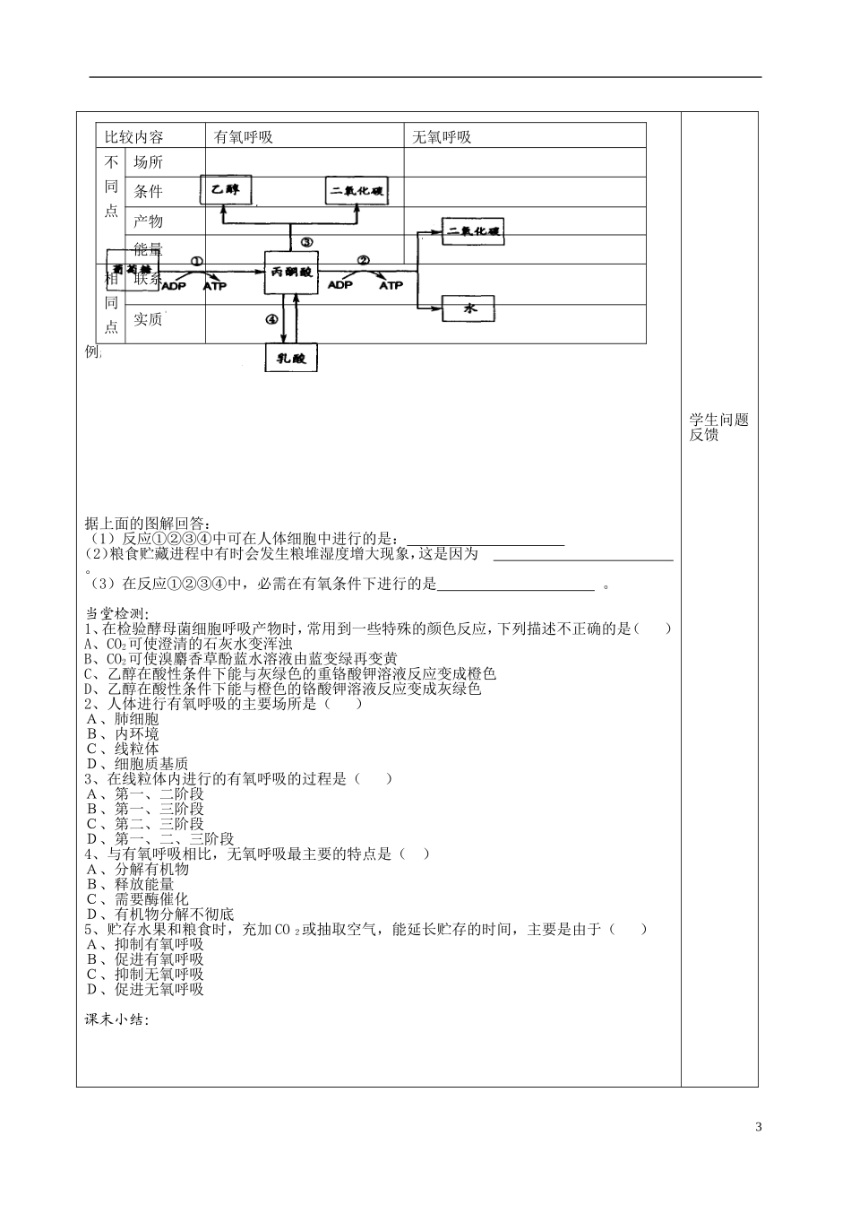 2014高中生物 第三节 ATP的主要来源 细胞呼吸导学案 新人教版必修1_第3页