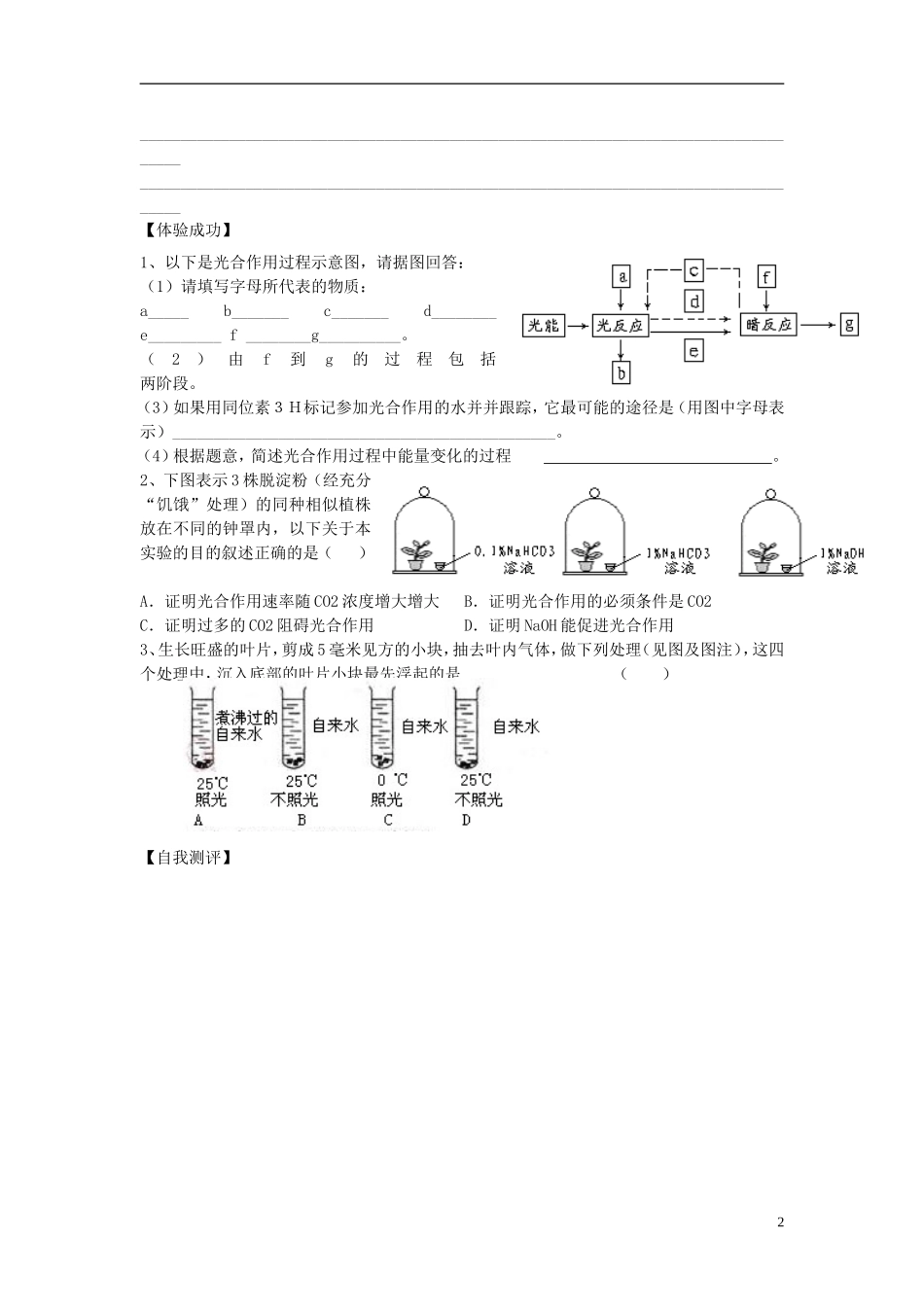 2014高中生物 第五章 第4节 能量之源 光与光合作用2学案 新人教版必修1_第2页
