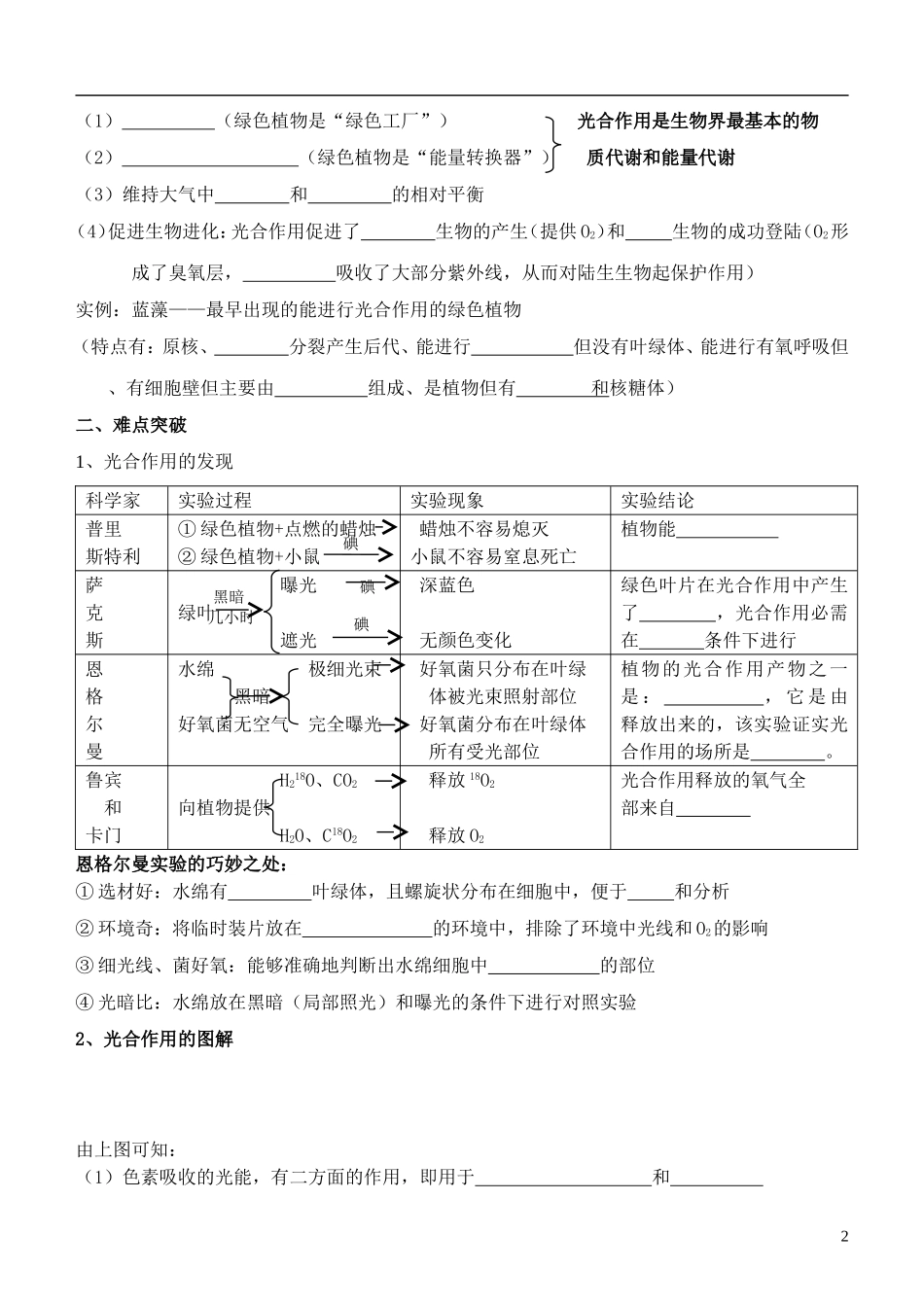 2014年高考生物 光合作用冲刺查漏补缺学案 人教版_第2页