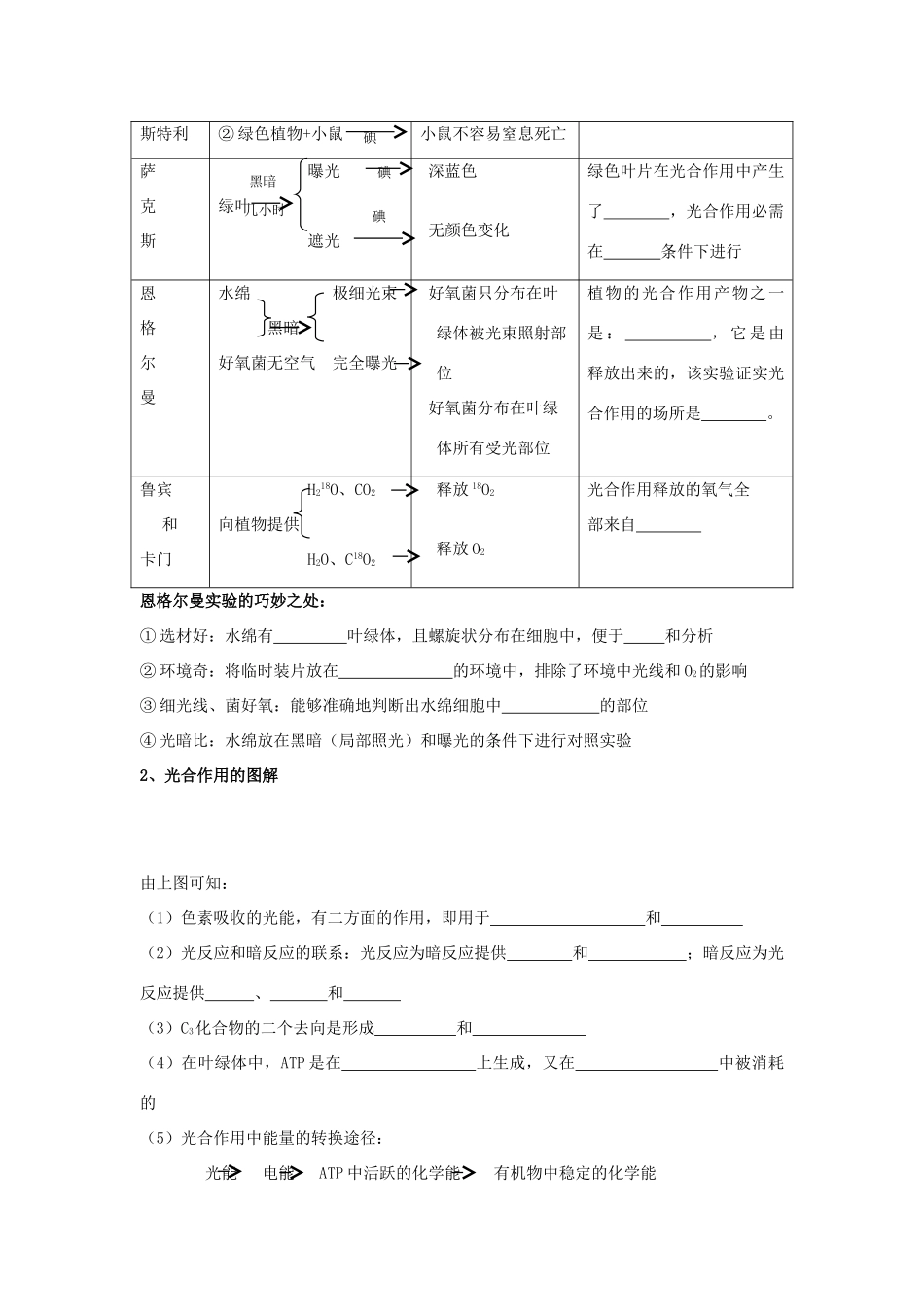2014年高考生物 基础冲刺 光合作用复习教案_第3页