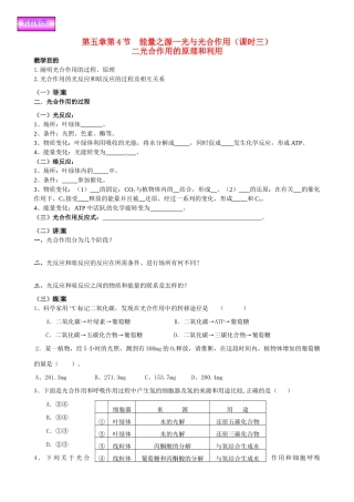 2014高中生物 第五章第4节 能量之源一光与光合作用（课时三）教案 新人教版必修1