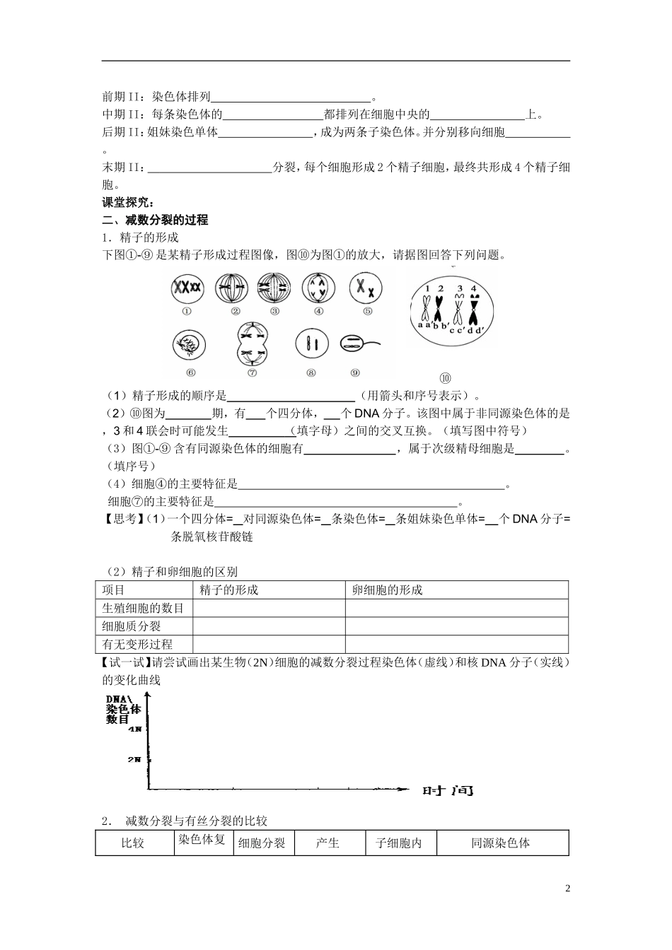 2014高中生物 第一节 减数分裂和受精作用学案 新人教版必修2_第2页