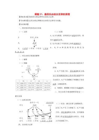 2014年高考生物 同步讲练结合素材 课题37 基因自由组合定律的原理 中图版必修1