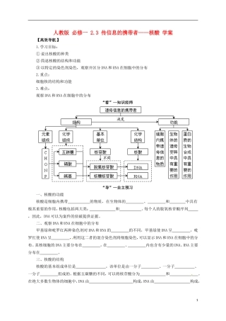 2014高中生物《 2.3 传信息的携带者-核酸》学案 新人教版必修1