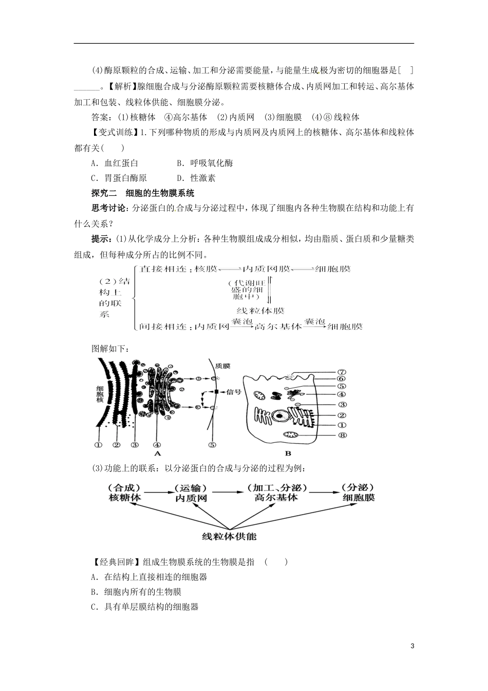 2014高中生物《 3.2 细胞器 系统内的分工合作》学案2 新人教版必修1_第3页