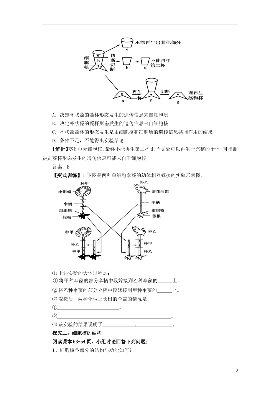 2014高中生物《 3.3 细胞核 系统的控制中心》学案 新人教版必修1_第3页