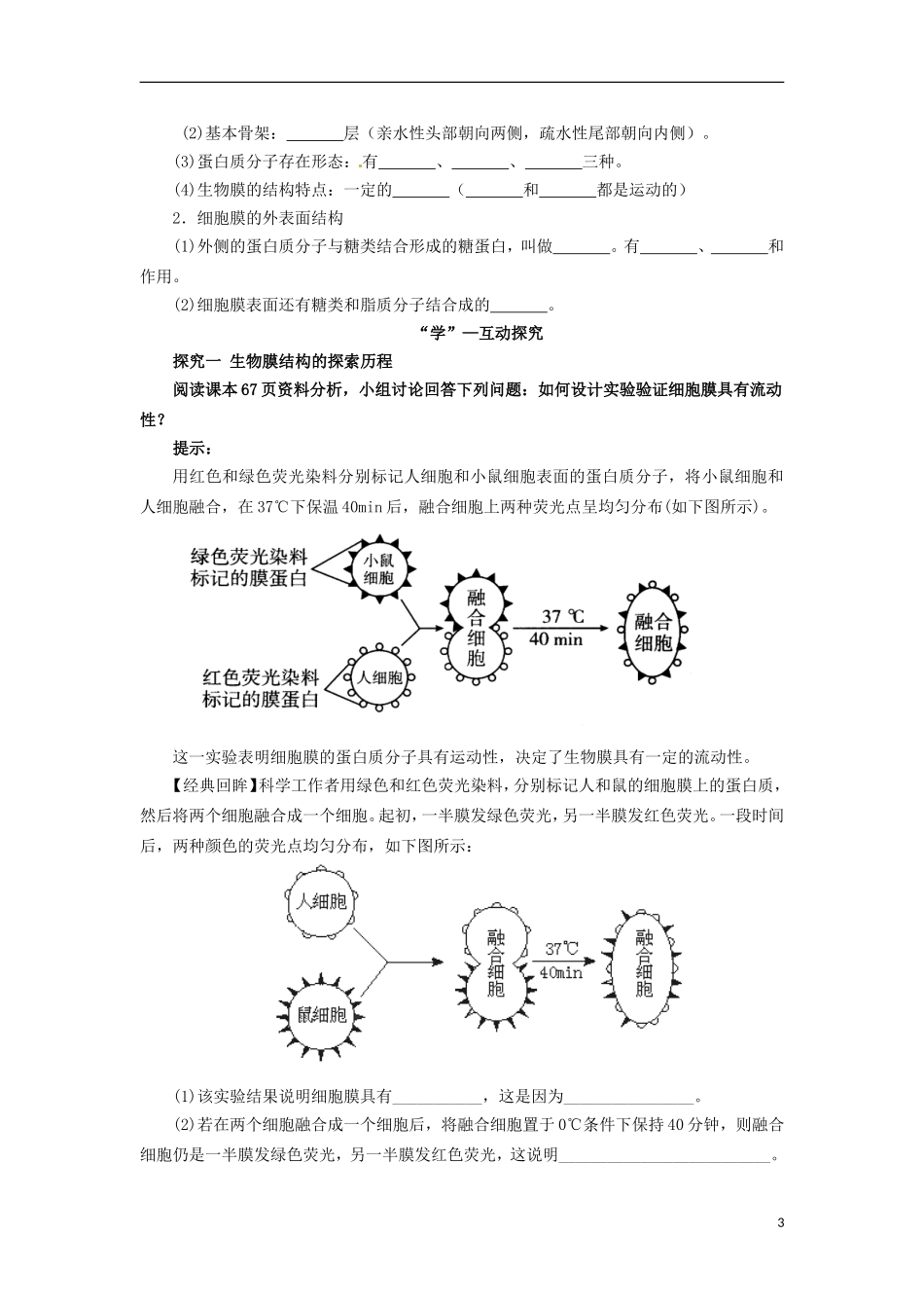 2014高中生物《 4.2 生物膜的流动镶嵌模型》学案 新人教版必修1_第3页