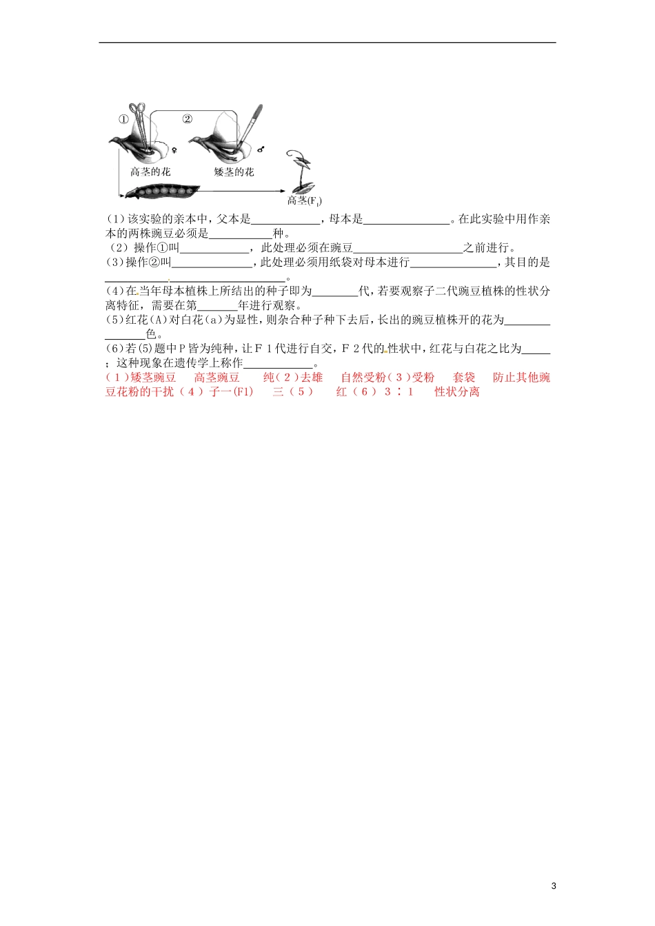 2014高中生物《1.1 孟德尔的豌豆杂交实验（一）》学案 新人教版必修2_第3页
