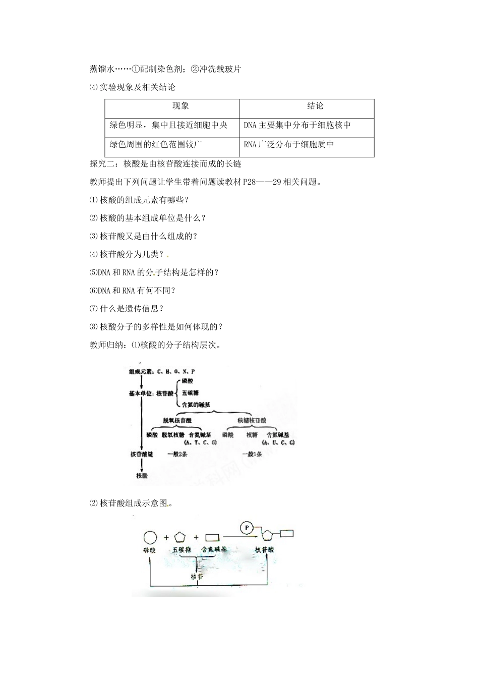 2014高中生物《2.3 遗传信息的携带者 核酸》教学设计 新人教版必修1_第3页