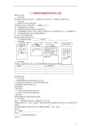 2014高中生物《3.4 基因是有遗传效应的DNA片段》学案 新人教版必修2