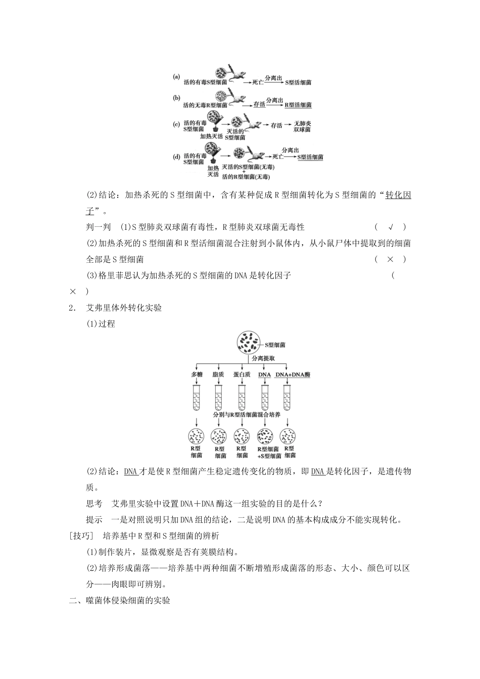 2014年高考生物大一轮复习 第六单元 第18讲 DNA是主要的遗传物质教案_第2页