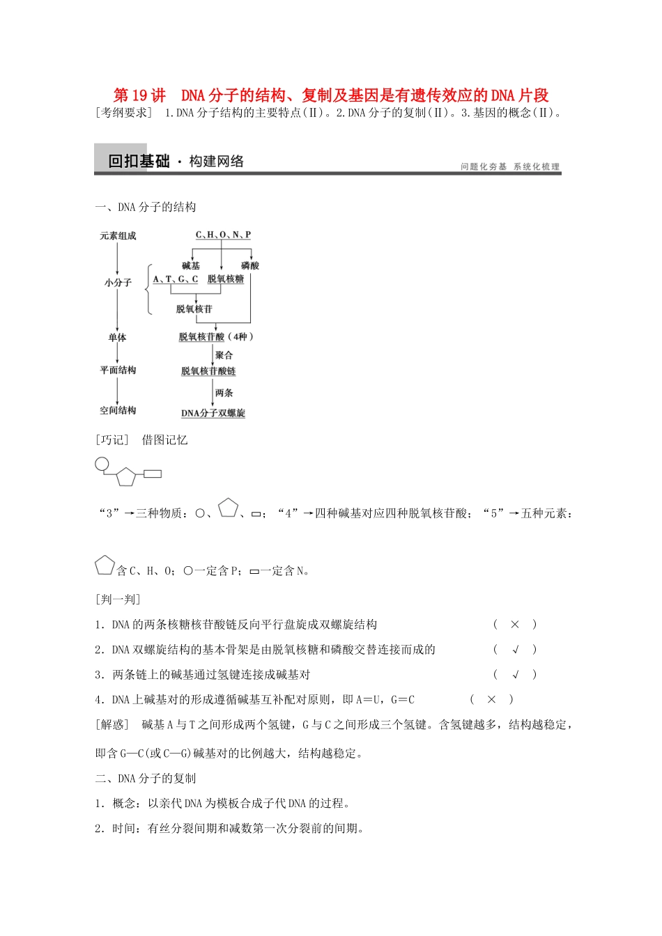 2014年高考生物大一轮复习 第六单元 第19讲 DNA分子的结构、复制及基因是有遗传效应的DNA片段教案_第1页
