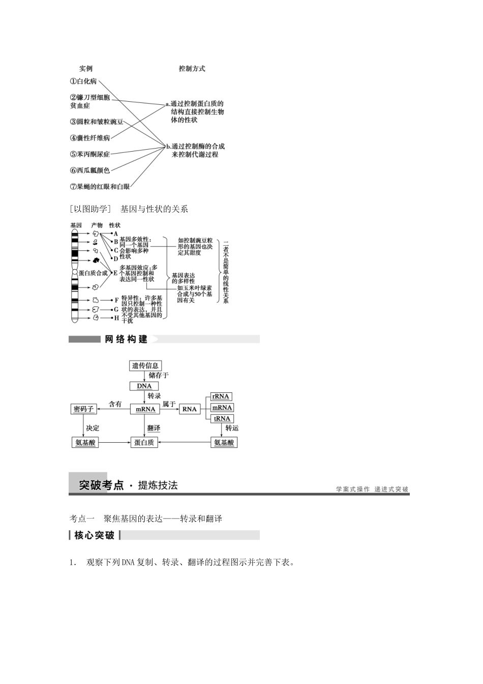 2014年高考生物大一轮复习 第六单元 第20讲 基因的表达教案_第3页