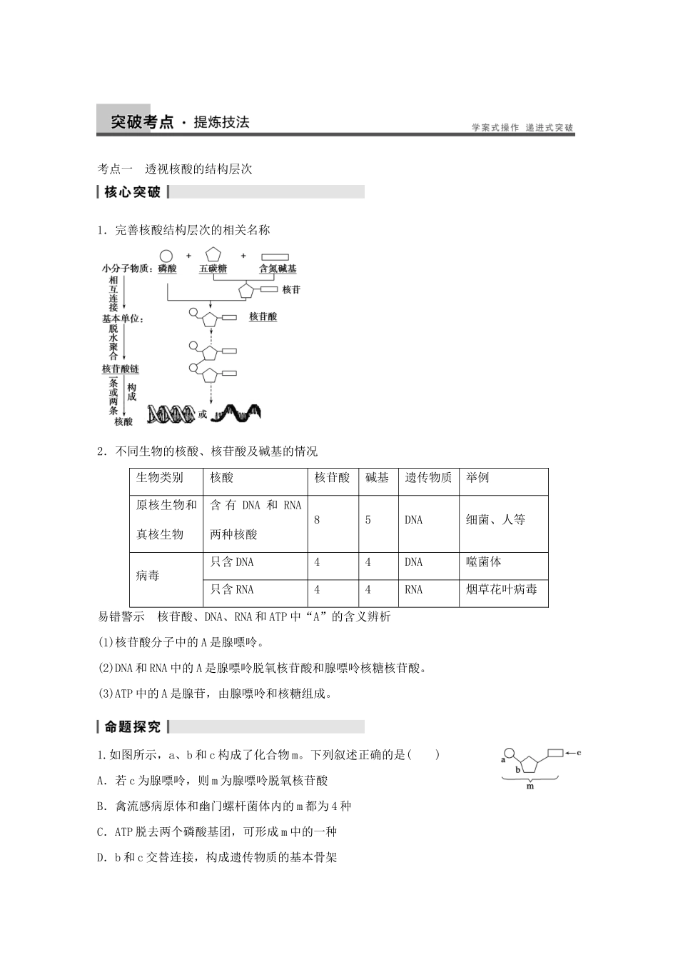 2014年高考生物大一轮复习 第一单元 第4讲 遗传信息的携带者 核酸 细胞中的糖类和脂质教案_第3页