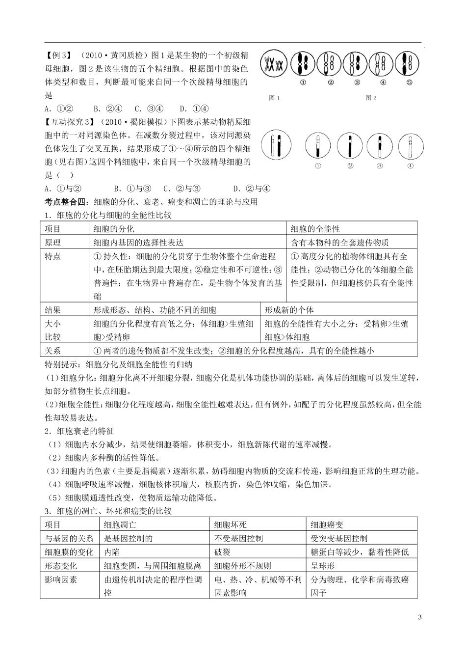 2014年高考生物二轮复习 专题3 细胞的生命历程学案 人教版_第3页