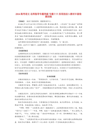 2014高考语文 名师指导专题突破 专题十六 实用技法5 素材丰富检测训练