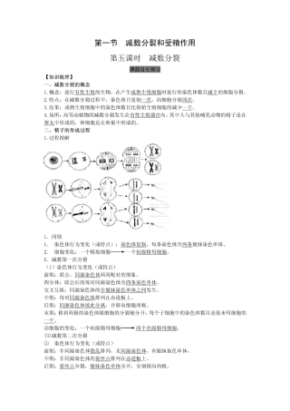 2014高中生物（课前预习+课堂学习+巩固训练+课后分层练习）第5课 减数分裂教学案 新人教版必修2
