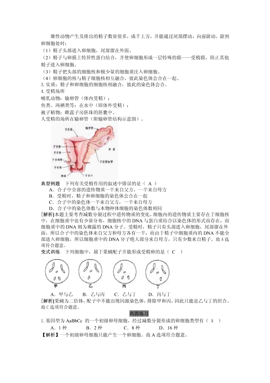 2014高中生物（课前预习+课堂学习+巩固训练+课后分层练习）第6课 受精作用教学案 新人教版必修2_第3页