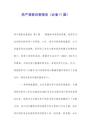 资产清查自查报告