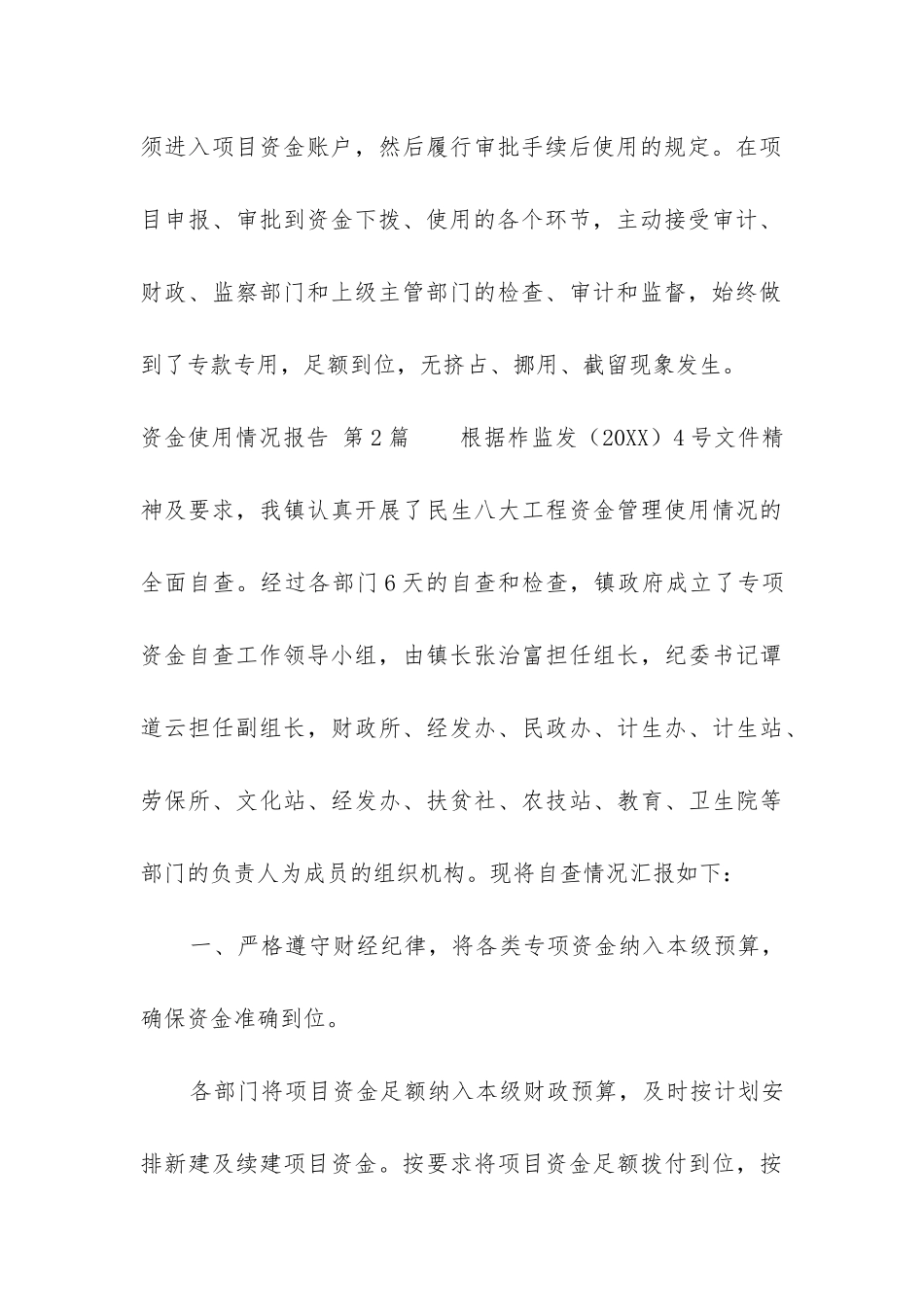 资金使用情况报告_第3页