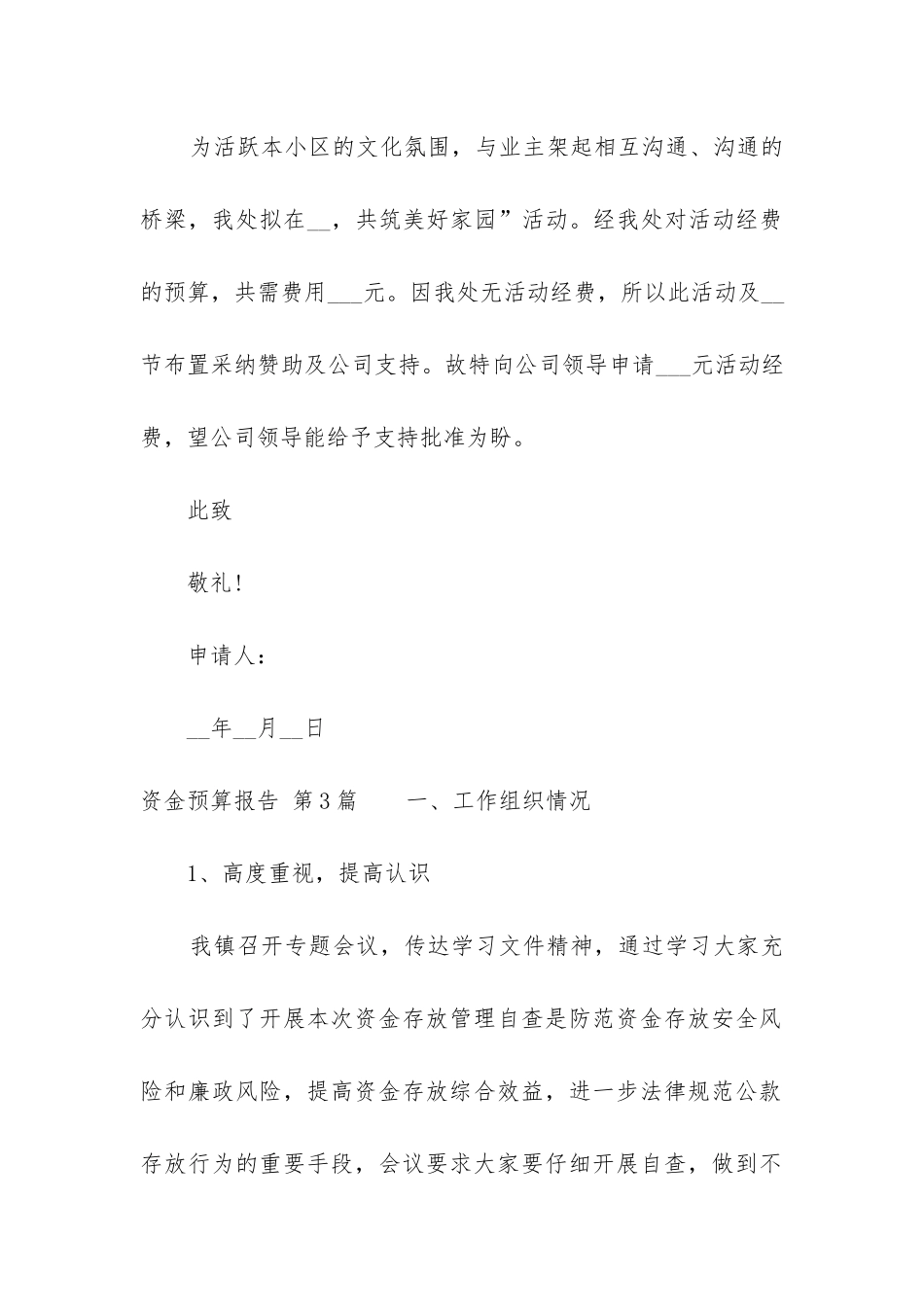 资金预算报告_第2页