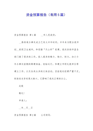 资金预算报告