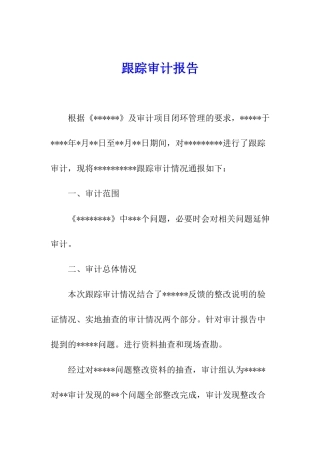 跟踪审计报告