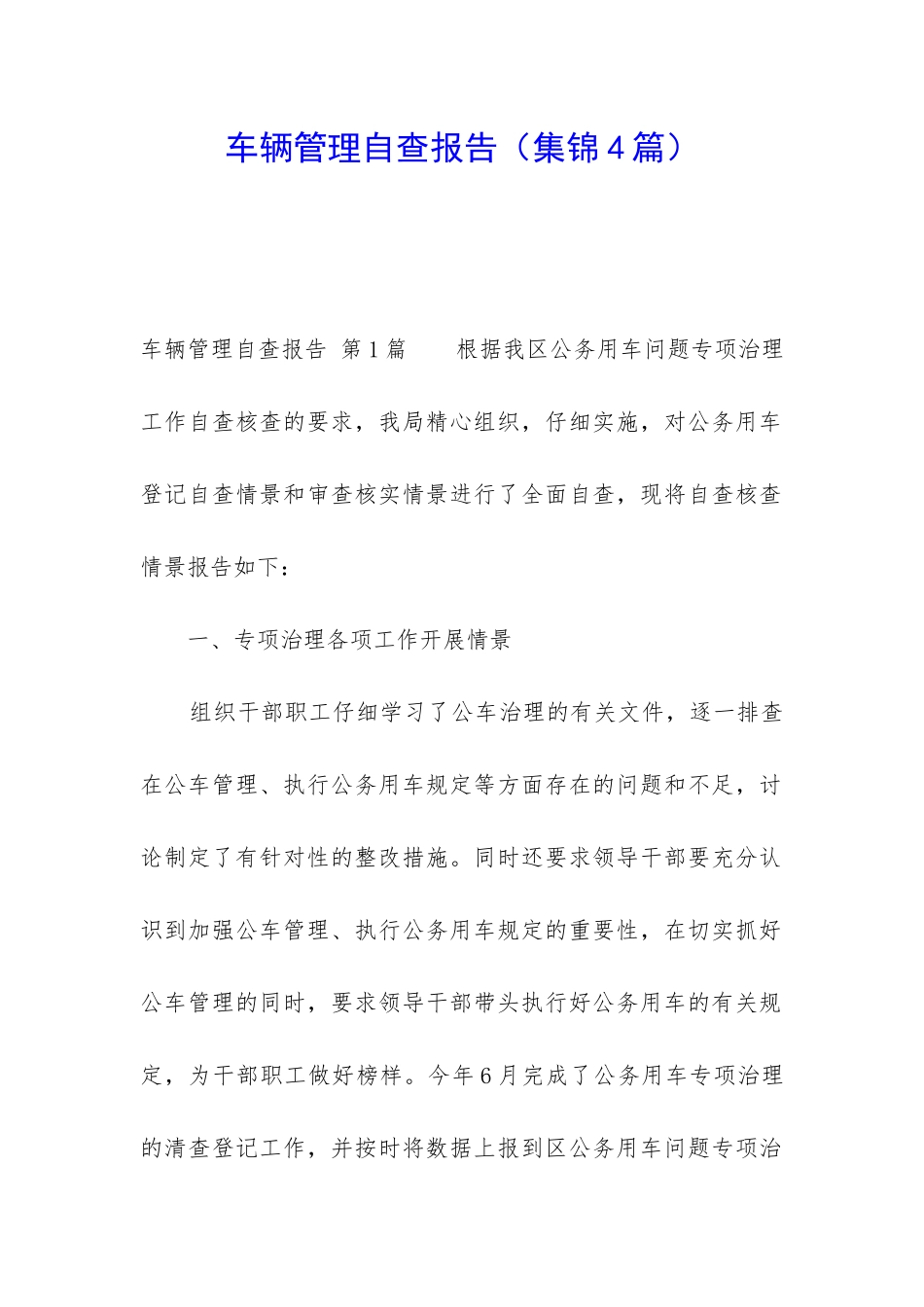 车辆管理自查报告_第1页
