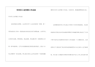 车间员工试用期工作总结
