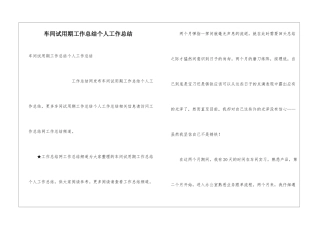 车间试用期工作总结个人工作总结