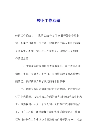 转正工作总结