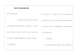 转正工作总结合集5篇