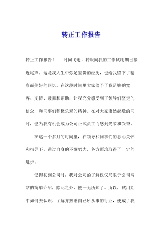 转正工作报告