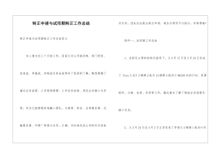 转正申请与试用期转正工作总结