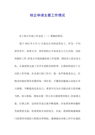 转正申请主要工作情况
