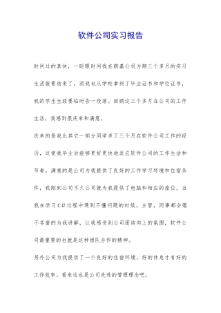 软件公司实习报告-