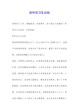 软件实习生总结-