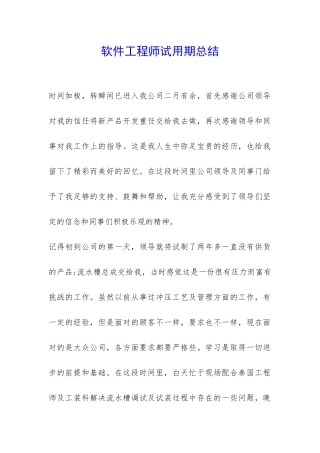 软件工程师试用期总结-