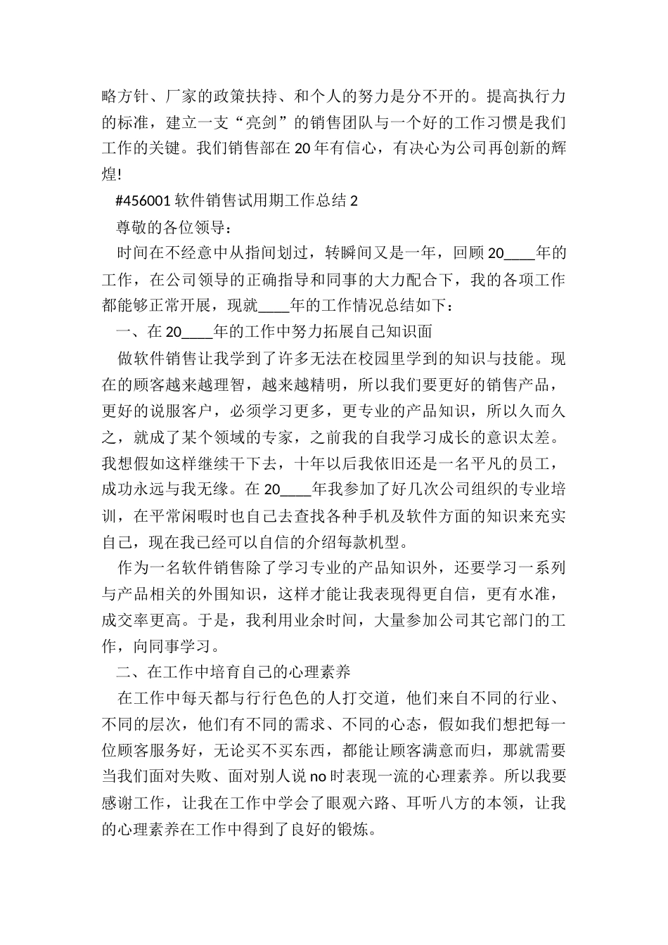 软件销售试用期工作总结5篇_第3页