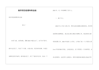 软件项目经理年终总结
