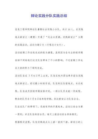 辩论实践分队实践总结-