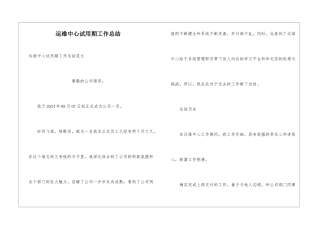 运维中心试用期工作总结