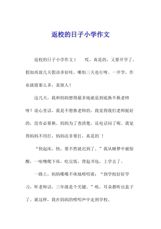 返校的日子小学作文