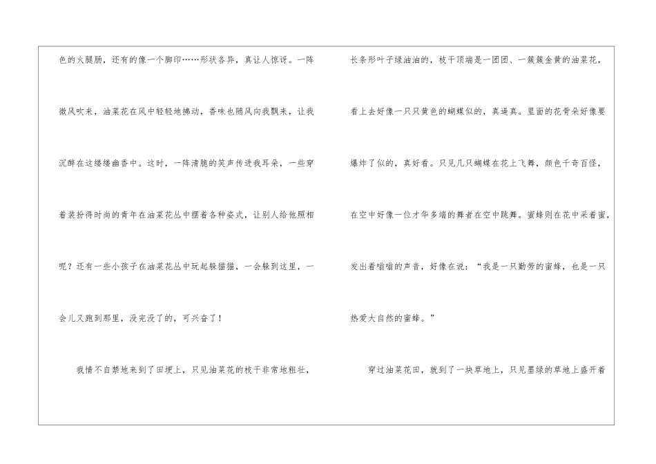 这里的风景真美作文_第2页