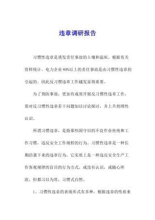 违章调研报告