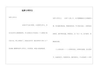 追梦小学作文