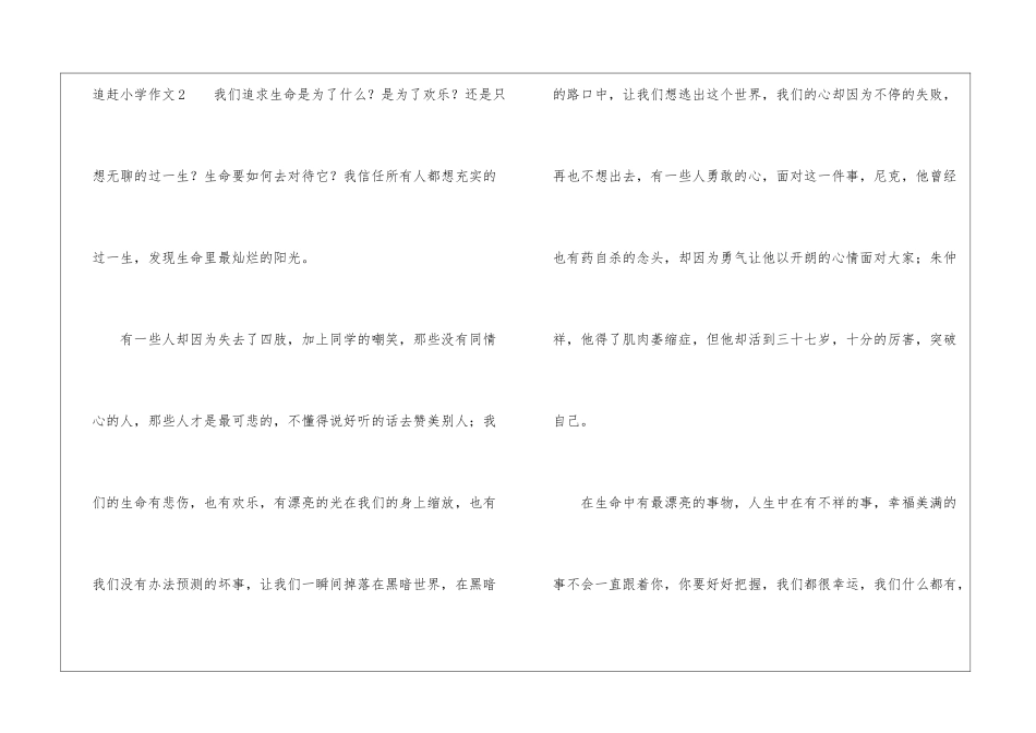 追赶小学作文_第3页