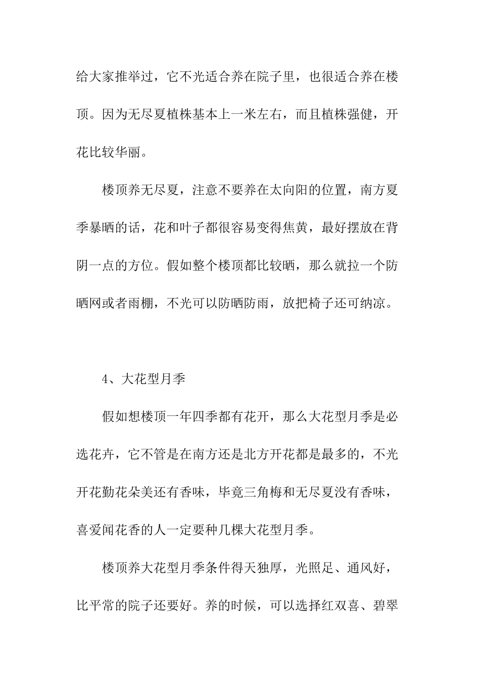 适合楼顶种植的花卉_第2页