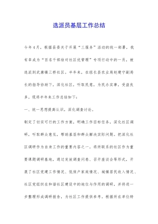 选派员基层工作总结-